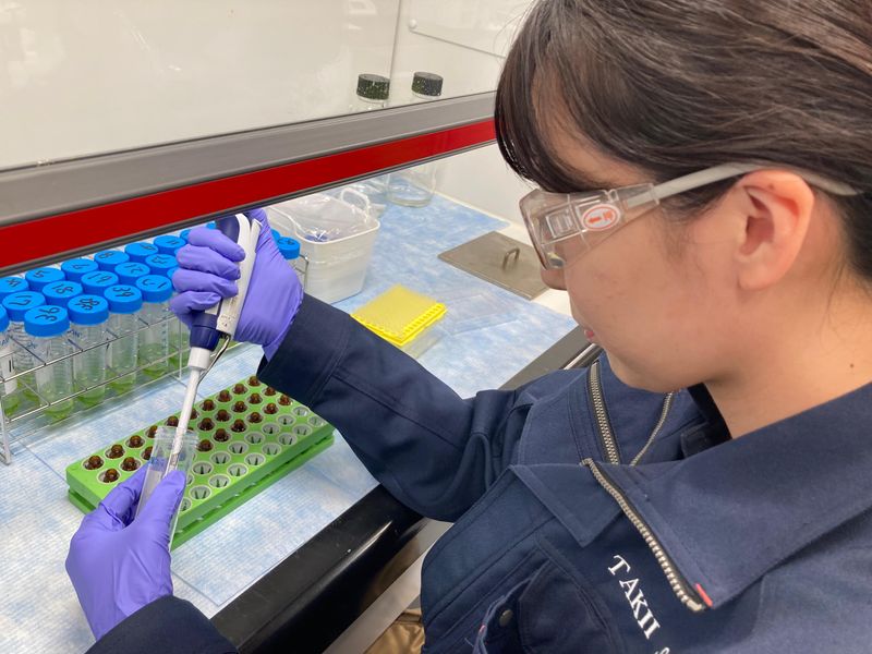 タキイ種苗株式会社