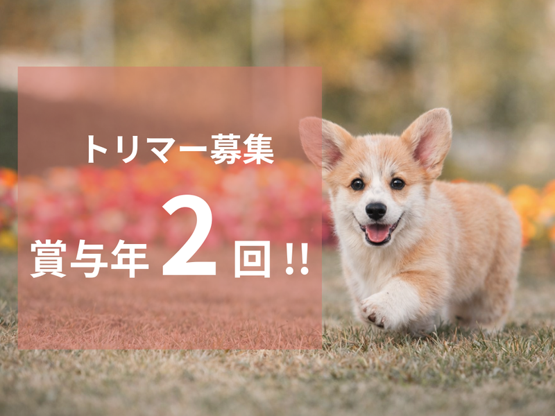 合同会社Ｉ　Ｗａｎの求人・転職情報