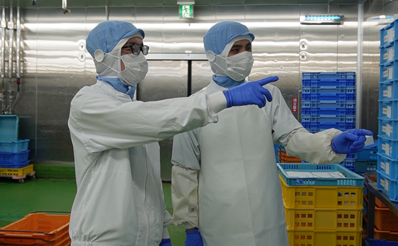 株式会社ミート・コンパニオンの求人・転職情報