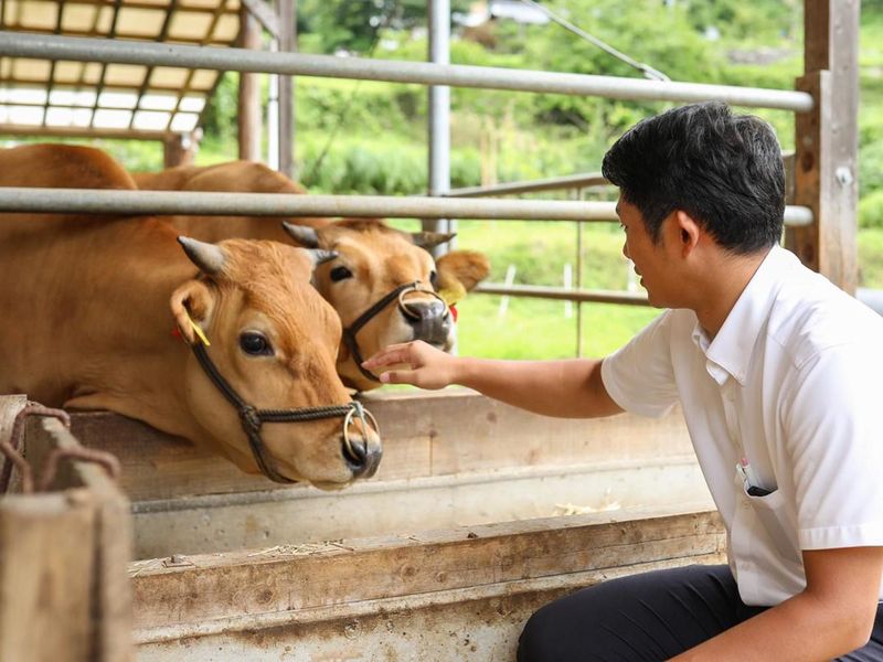 動物医薬品の営業体験コース(高知市開催・交通費あり)