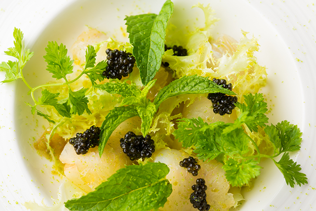 ルニドファコンのアルバイト・バイト求人情報-02