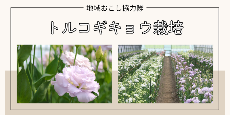 川俣町役場の求人・転職情報
