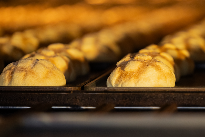 フジパングループ本社株式会社の求人・転職情報