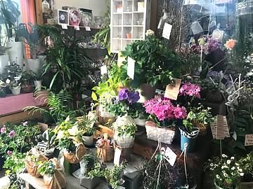 花かご　アイランドシティ店の派遣求人情報