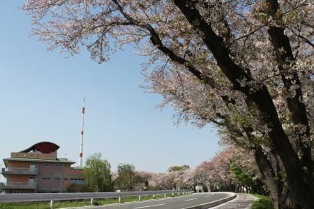 社会福祉法人　邑元会　障害者支援施設しびらきのアルバイト・バイト求人情報-02