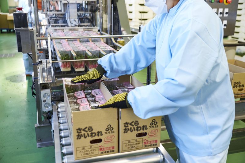 株式会社中野農園 門真農場のアルバイト・バイト求人情報-04