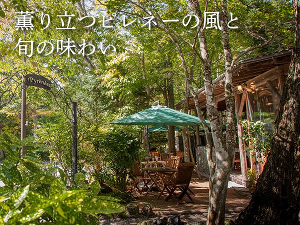 レストラン ピレネーのアルバイト・バイト求人情報-02