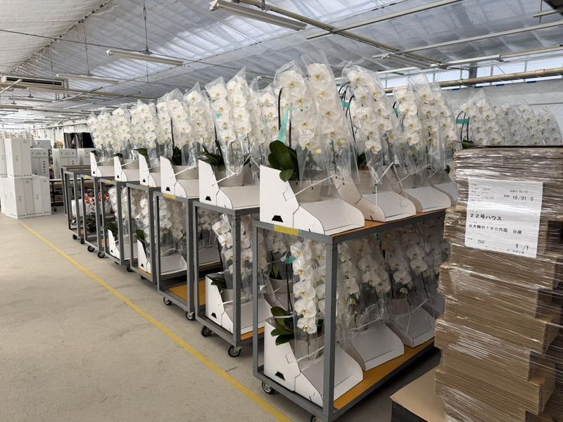 株式会社リーフのアルバイト・バイト求人情報-02