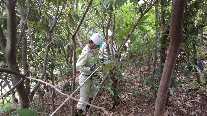 株式会社稲治造園工務所-0004の求人・転職情報