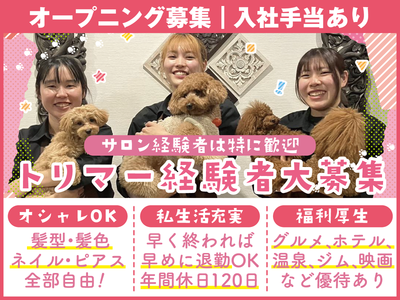株式会社Ｌｕｃｕの求人・転職情報