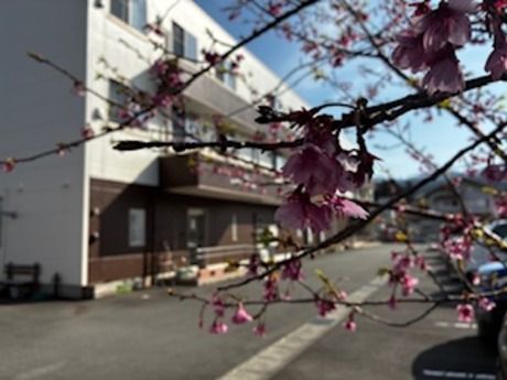 食彩倶楽部　ル・グランガーデン御殿場のアルバイト・バイト求人情報-42