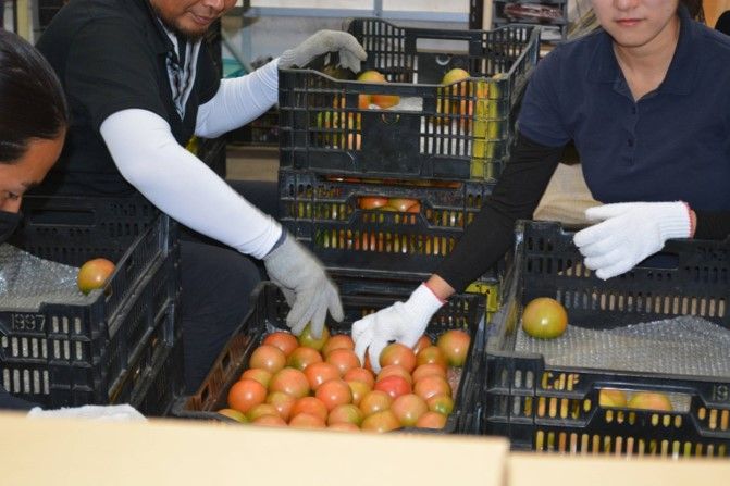 JAふじ伊豆　御殿場地区無料職業紹介所の求人・転職情報