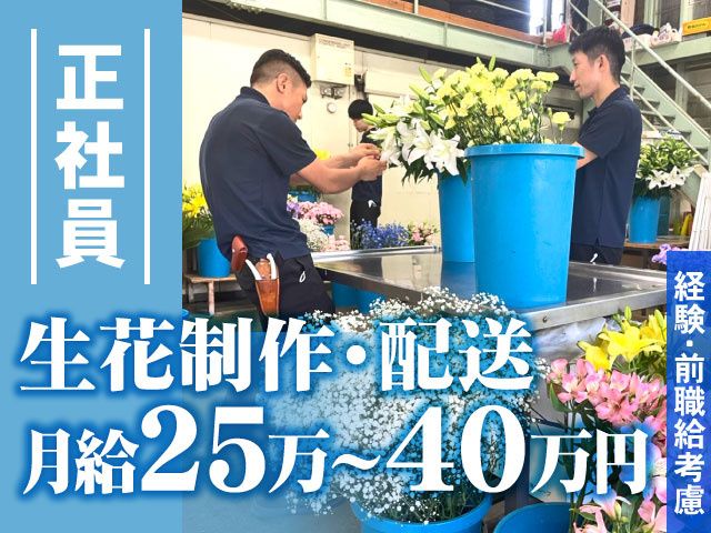 有限会社ラファエルの求人・転職情報