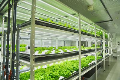 かいせいPLUS宇都宮のアルバイト・バイト求人情報-03