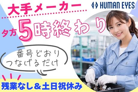 株式会社ヒューマンアイズの求人・転職情報