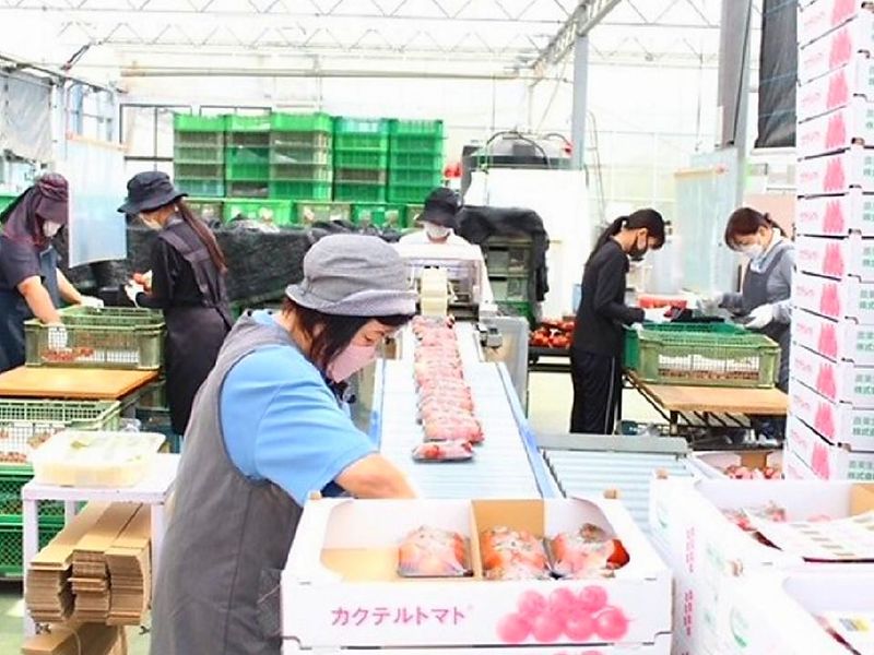 株式会社グリーンステージ大平のアルバイト・バイト求人情報-02