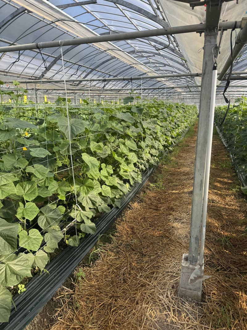 ぬっくんfarmのアルバイト・バイト求人情報-03