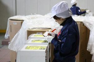 富士山フロント物流センター/株式会社鈴与カーゴサービス静岡のアルバイト・バイト求人情報-10