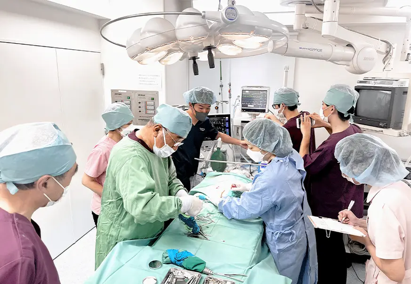 株式会社アグメディカルの求人・転職情報