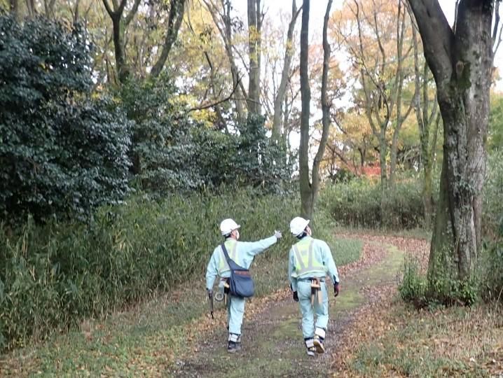 株式会社スペース・グリーンの求人・転職情報