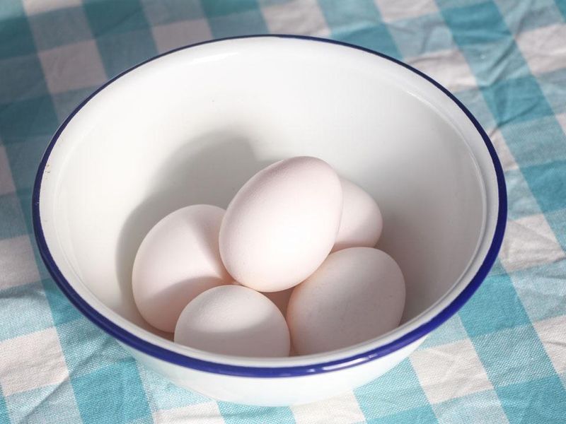 株式会社満春の求人・転職情報