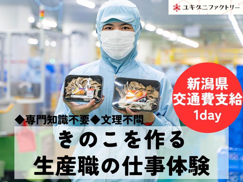 8/8 1day 食品メーカーの生産職 きのこを作る仕事体験