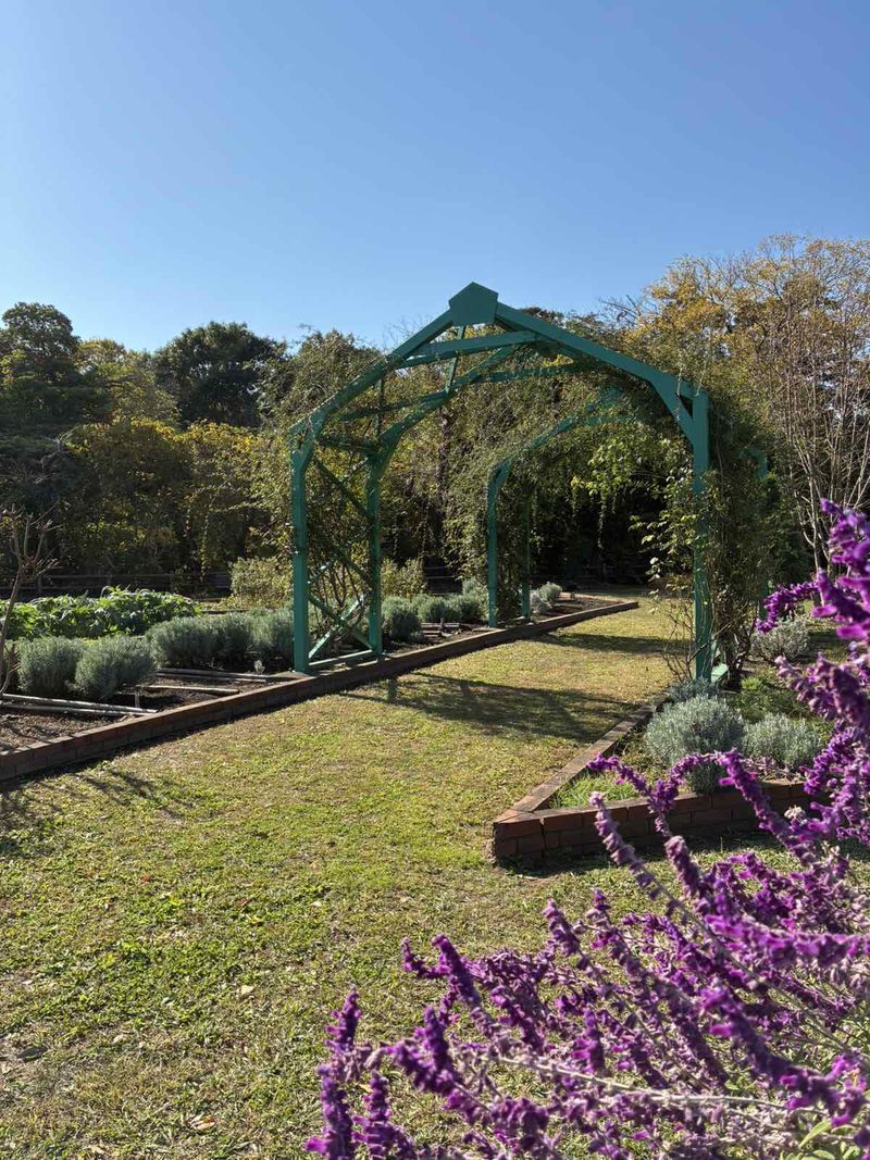 見沼氷川公園のアルバイト・バイト求人情報-06