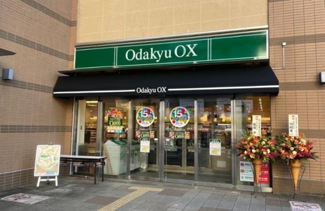 Odakyu OX ͌X