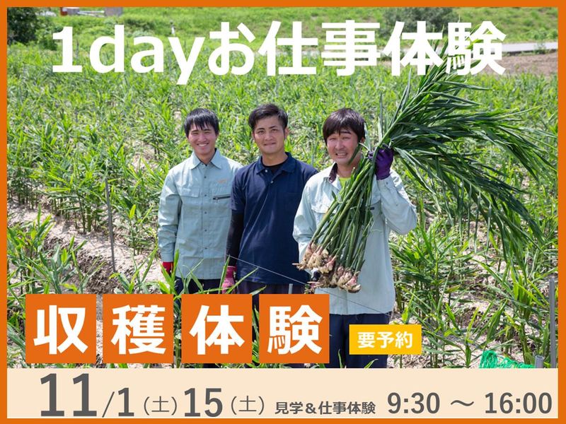 株式会社坂田信夫商店