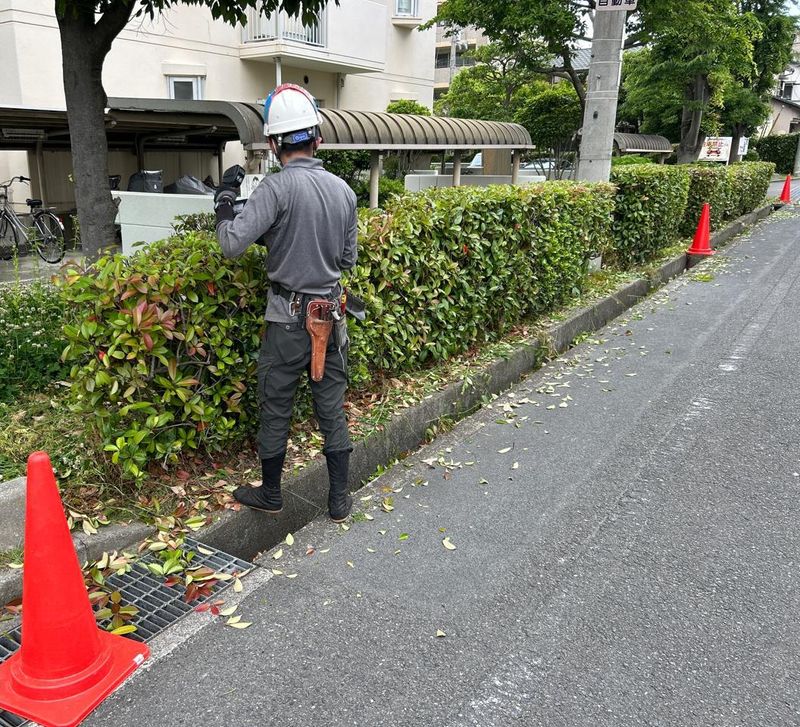 大商造園株式会社の求人・転職情報