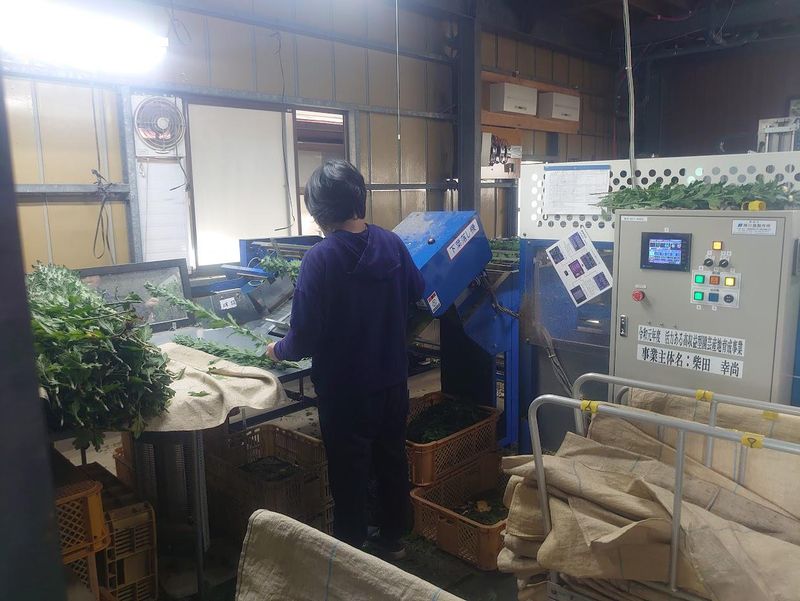 ペルプラント株式会社の求人・転職情報-02