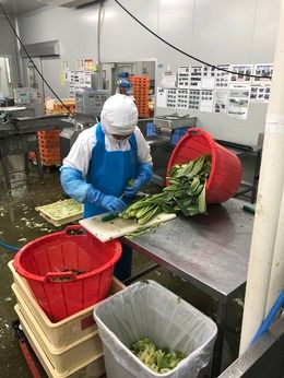 弁釜　札幌工場の求人情報