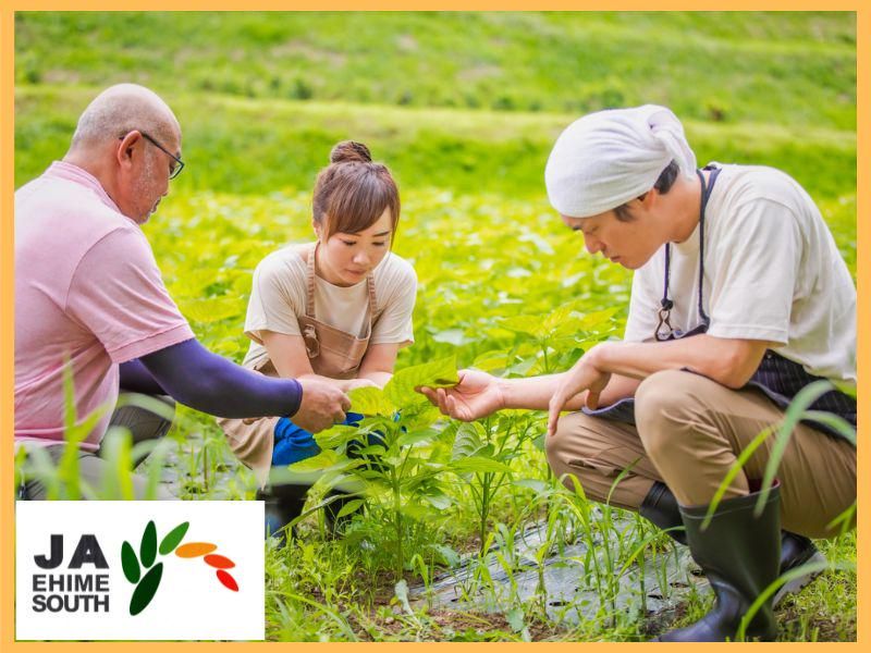 えひめ南農業協同組合の求人・転職情報