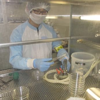 埼玉日清食品株式会社の求人・転職情報