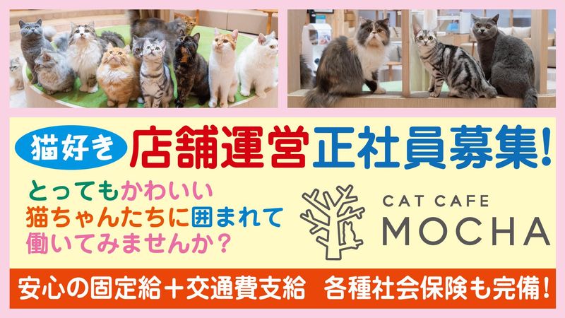株式会社プリマの求人・転職情報