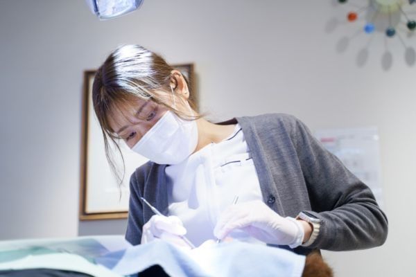 須沢歯科・矯正歯科の求人・転職情報