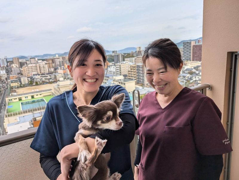 株式会社サンブルーム はるいろ訪問看護ステーションの求人・転職情報-02