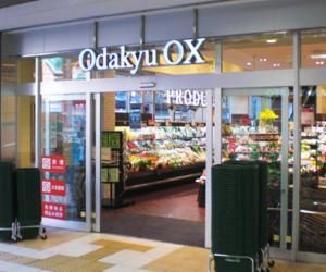 Odakyu OX ɐX