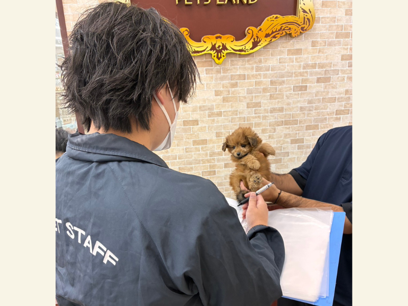 株式会社コーワペッツコーポレーション　九州のアルバイト・バイト求人情報-02