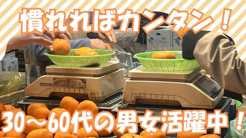 三栄青果加工有限会社のアルバイト・バイト求人情報