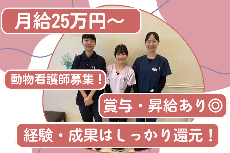 モリヤ動物病院の求人・転職情報
