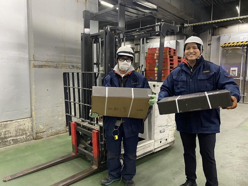 エス・ティー・サポート株式会社の求人・転職情報