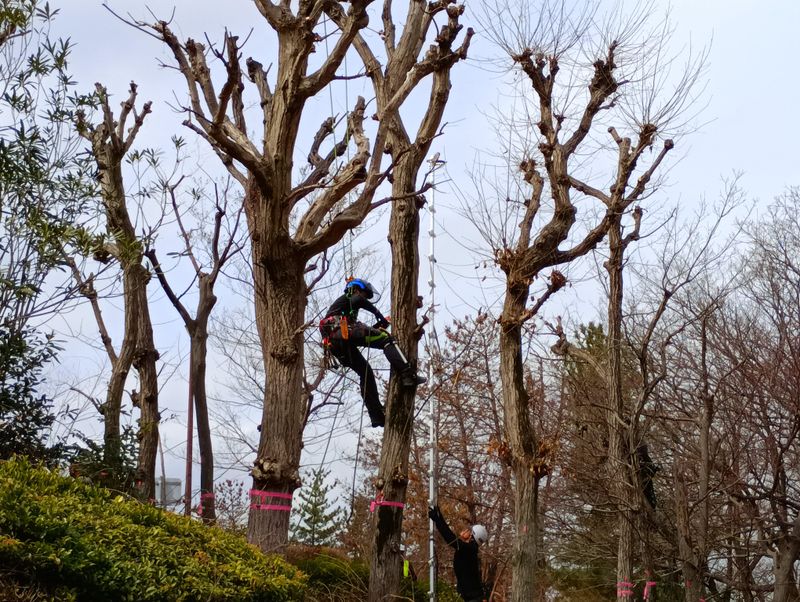 東信測量株式会社の求人・転職情報