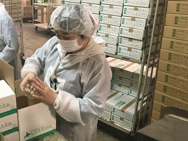 農業法人鎌田きのこ株式会社の求人・転職情報