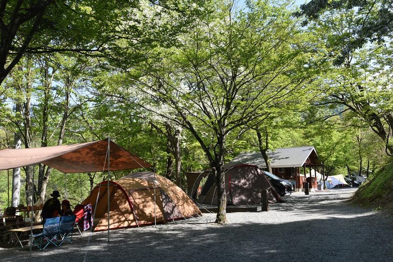 株式会社 Foresters Village-0002の求人・転職情報