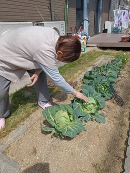 セントケア和歌山株式会社の求人・転職情報