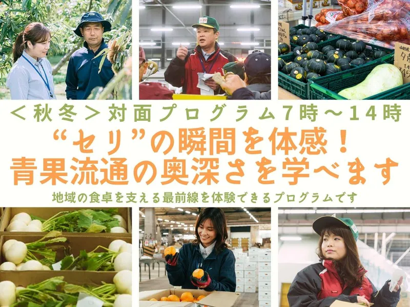 競り体験&産地ドライブ体験　農業課題を解決する食品商社