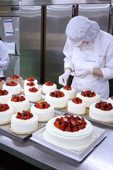 株式会社エーデルワイスの求人・転職情報