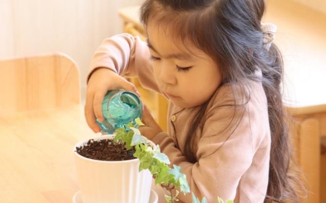 社会福祉法人なないろ-0001の求人・転職情報