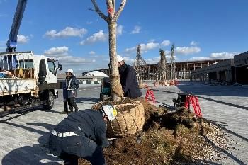 株式会社緑源の求人・転職情報